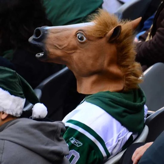 Paardenmasker - Horse Headmask - Latex - Realistische Manen - Bruin - One Size Fits All - Geschikt voor Kinderen en Volwassenen - Perfect voor Carnaval, Halloween en Themafeesten