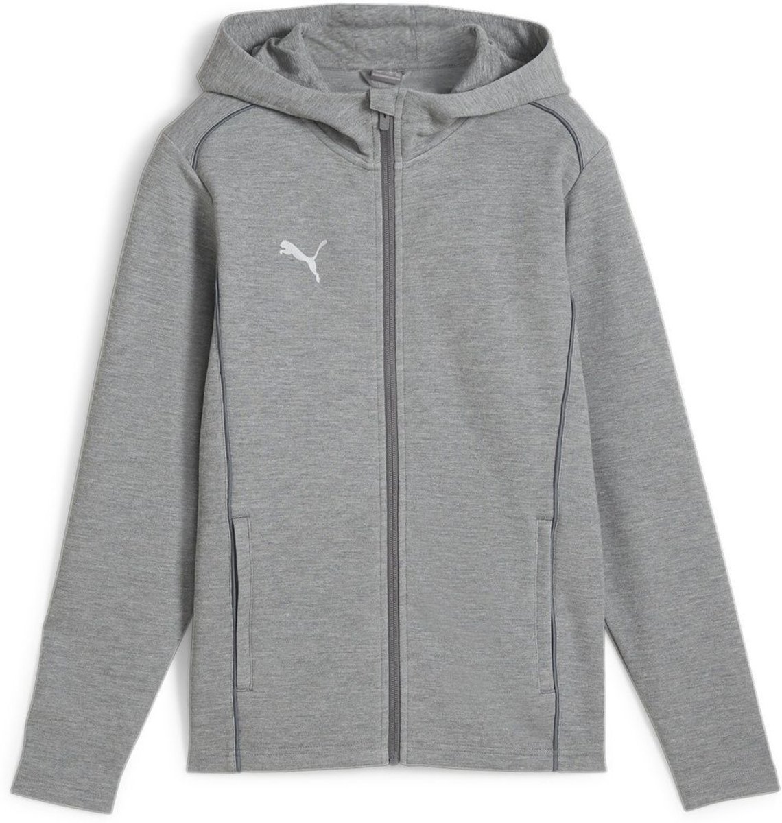 PUMA Teamfinal Hoodie Heren Grijs