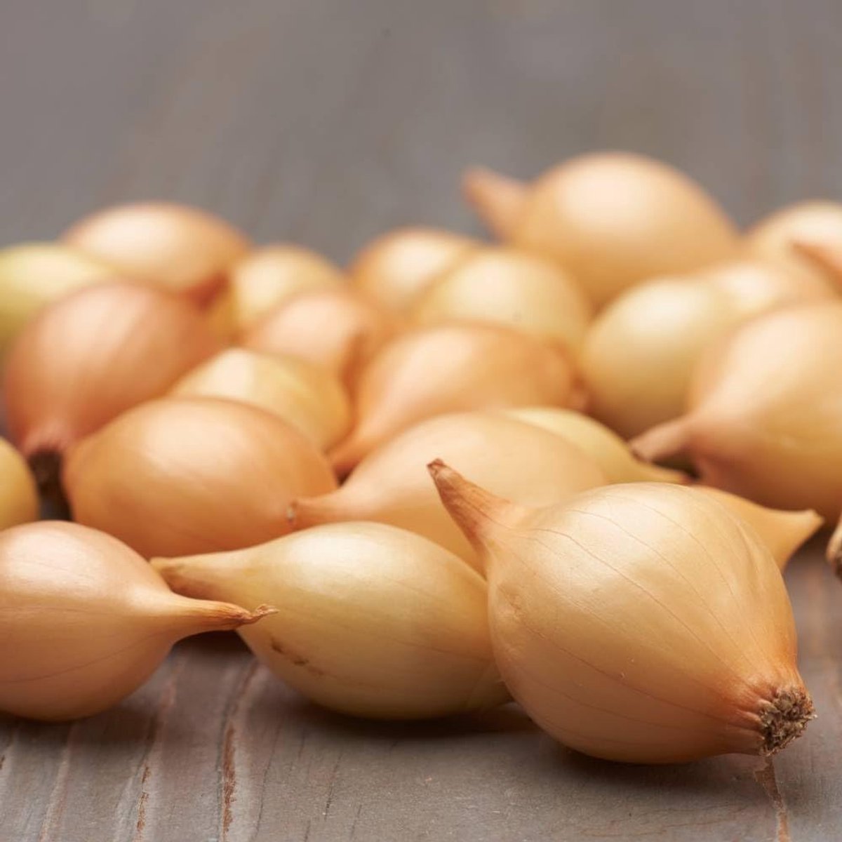 Ui bol om te plant - Uibollen - Senshyu Yellow - Bloembollen - 500 gram - Rood - Voor de Moestuin