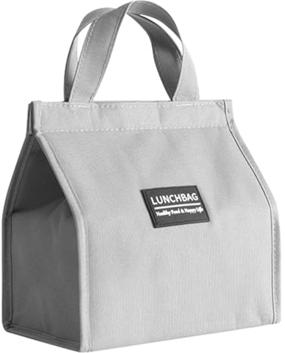 Geïsoleerde draagtas voor lunch, thermische lunchtas voor werk, school en picknick