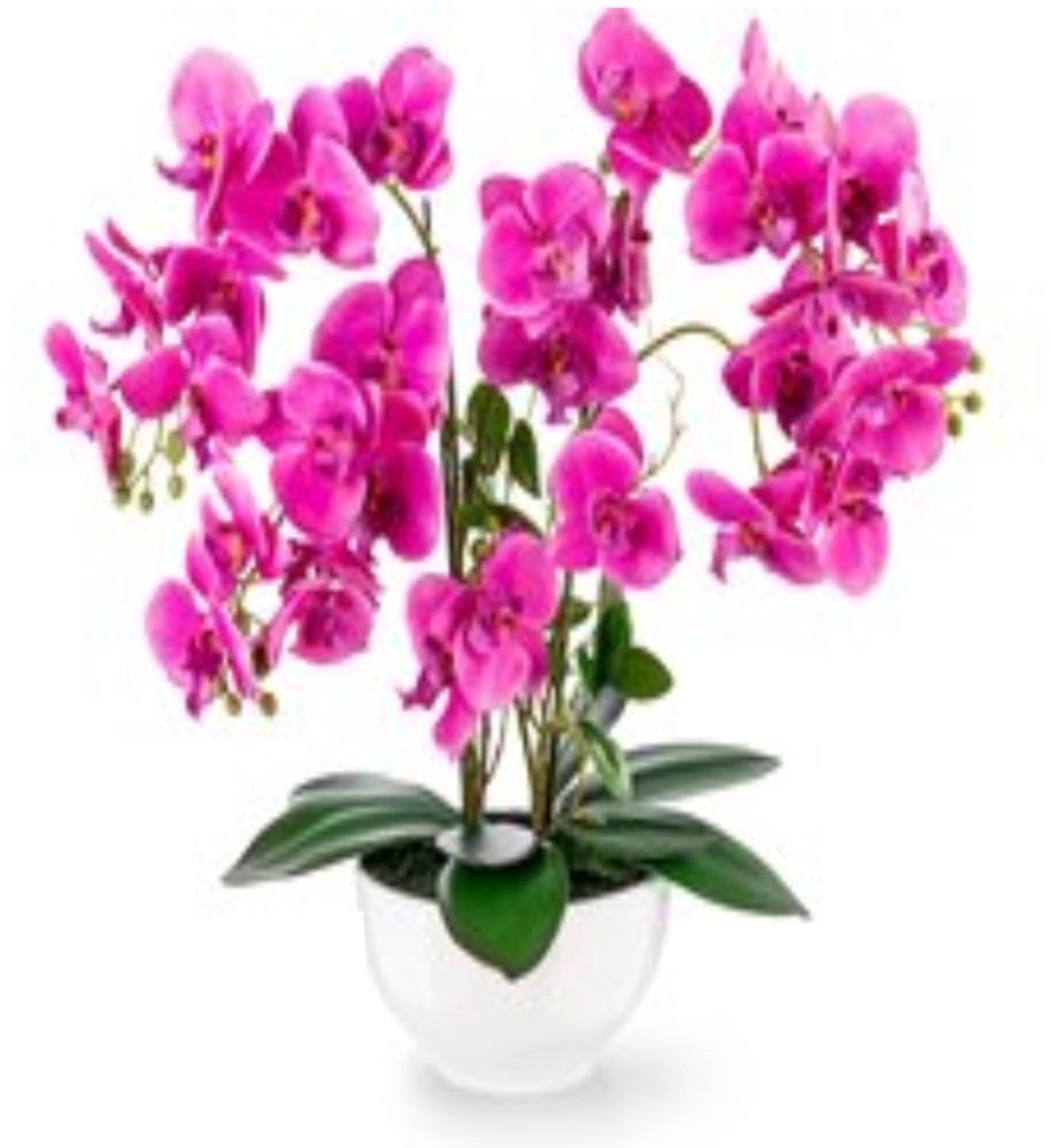 Exclusief Ontworpen Grote Kunst Orchidee in Hoogglans Keramische Pot voor Stijlvolle Decoratie