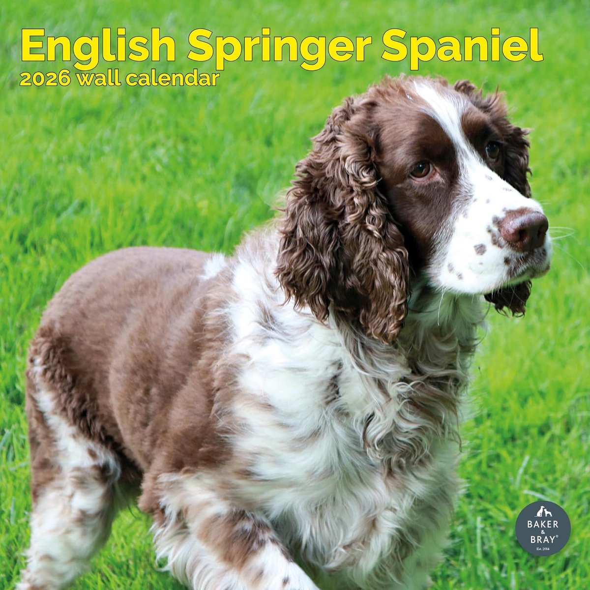 Engelse Springer Spaniel Kalender 2027