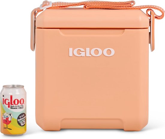 Passieve koelbox 10 liter voor uitstapjes en picnics van Merkloos — afbeelding 3