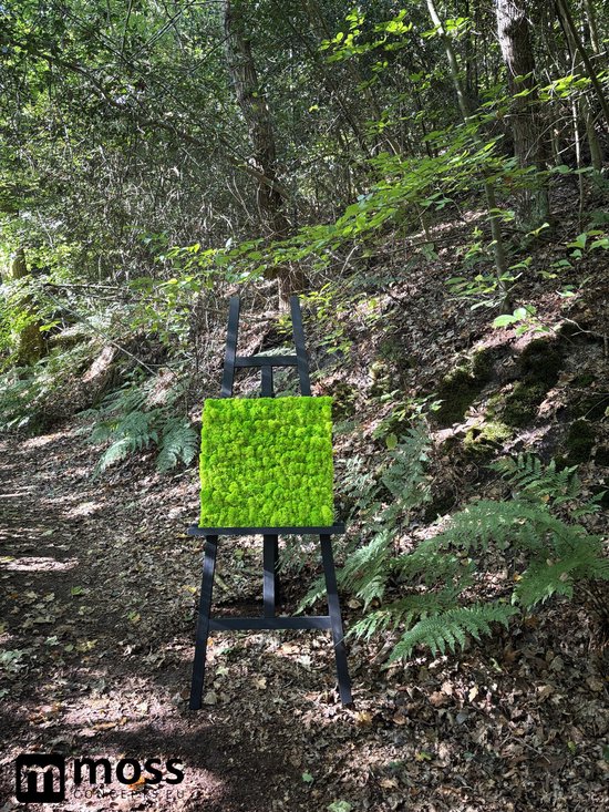 MOSS concepts Moswand paneel rendiermos springgroen