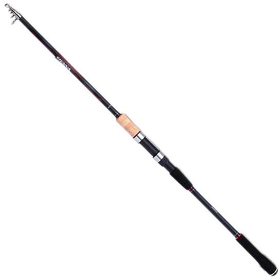 Shimano Sienna Ar Tegt Bolognese