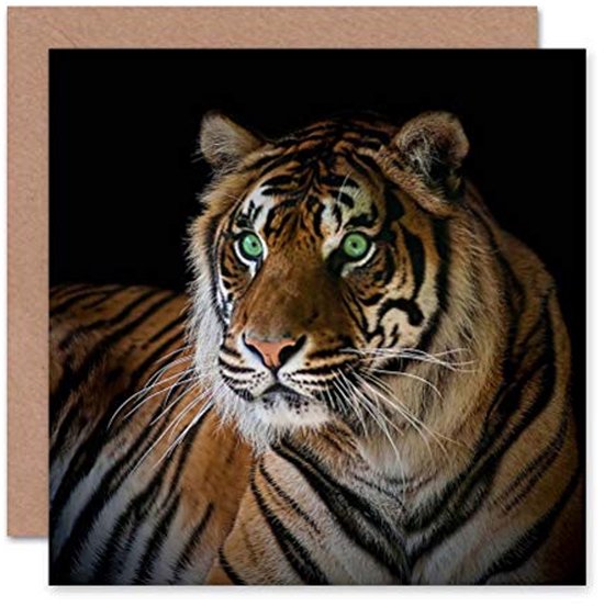 Mindset is Everything Cat/tiger Leader Motivational Inspirational Prevocational Life Action Success Quote Print Poster Wall Art Picture