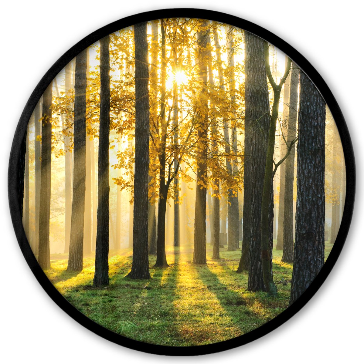 FrameYourWall Poster in lijst Rond - Fotolijst 40x40 cm - Posters - Bos - Zon - Bomen - Gras - Landschap - Natuur - Ronde posterlijst zwart - Decoratie - Wanddecoratie woonkamer - Muurdecoratie slaapkamer