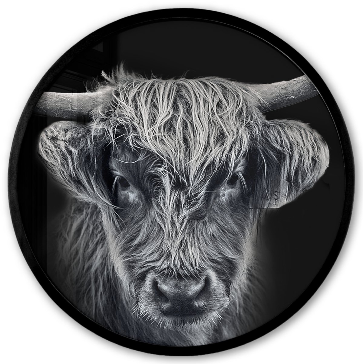 FrameYourWall Poster in lijst Rond - Fotolijst 40x40 cm - Posters - Schotse hooglander - Zwart - Koe - Dieren - Ronde posterlijst zwart - Decoratie - Wanddecoratie woonkamer - Muurdecoratie slaapkamer Schotse Hooglander - Close up