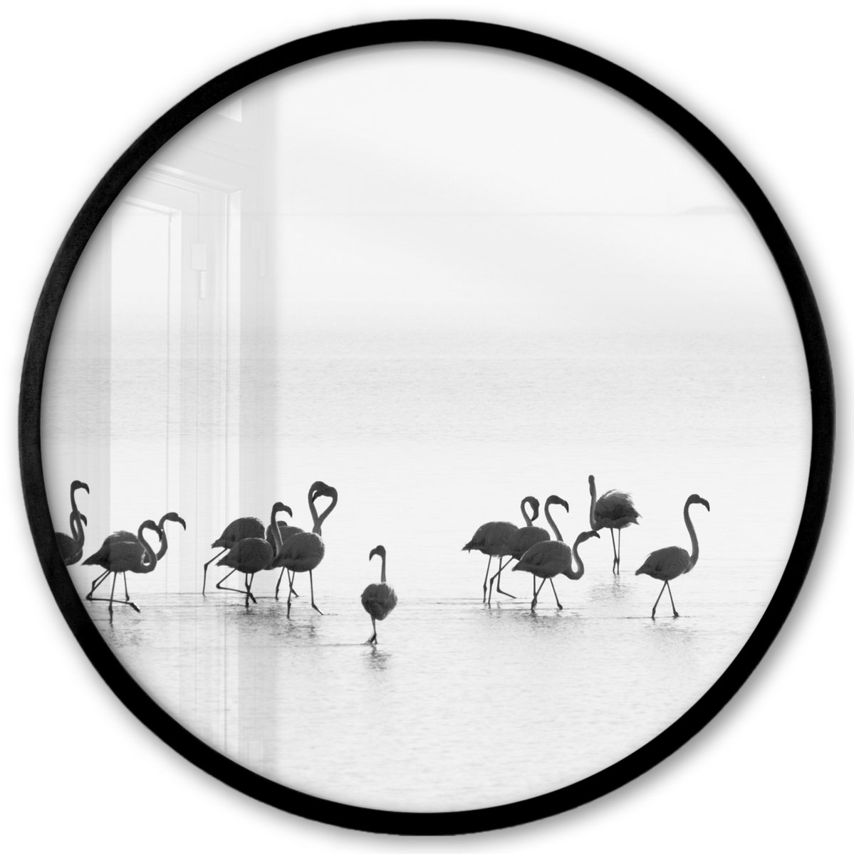 FrameYourWall Poster in lijst Rond - Fotolijst 40x40 cm - Posters - Flamingo's - Water - Natuur - Zwart wit - Ronde posterlijst zwart - Decoratie - Wanddecoratie woonkamer - Muurdecoratie slaapkamer