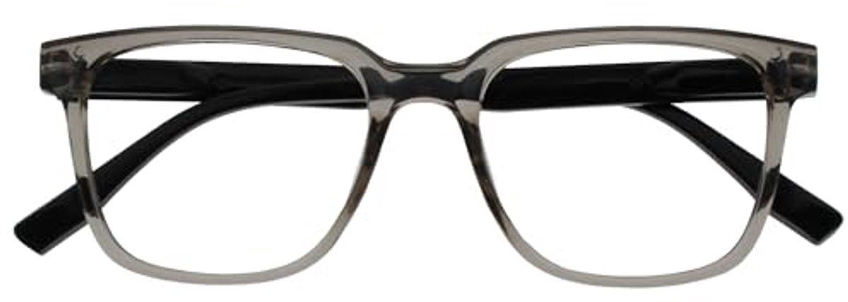 Grote Rechthoekige Leesbril met Veerscharnieren - Grijs - Unisex - +2.50 Diopter