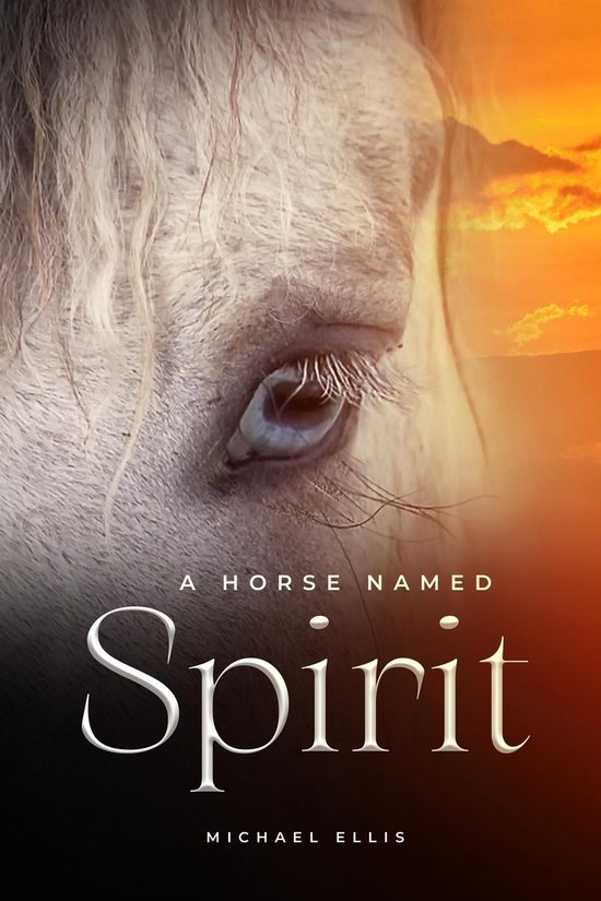 Boekcover van A Horse Named Spirit met close-up van een paardenoog en de tekst 'A HORSE NAMED Spirit Michael ELLIS'.