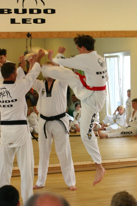 Ratgeber Kampfkunst - cover