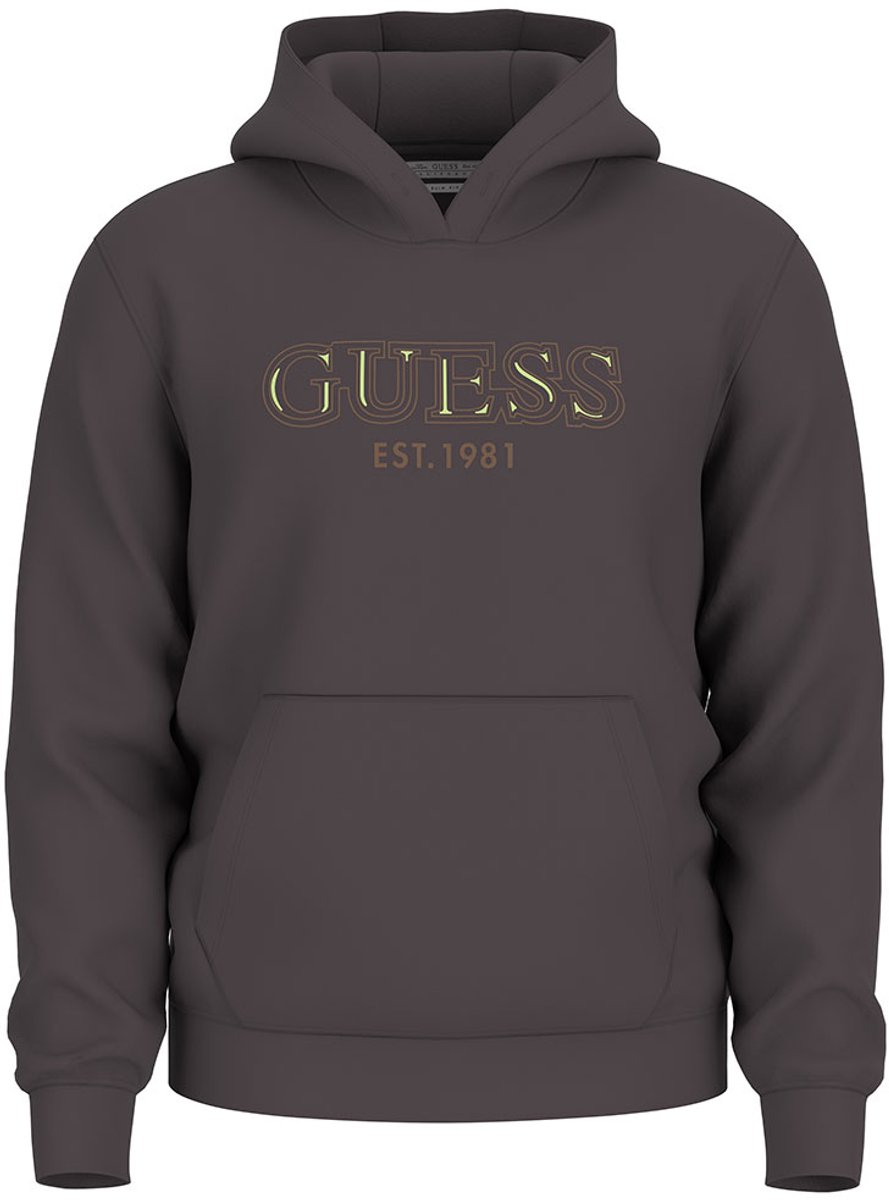 Guess Basic Hoodie Grijs S Man