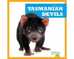 Marsupials- Tasmanian Devils