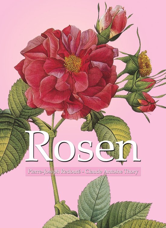 Boekcover met een gedetailleerde illustratie van een rode roos en bloemknoppen, met de tekst "Rosen".
