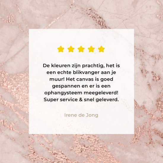 Peintures sur Toile Marbre - Rose - Luxe - 80x120 cm - Décoration murale