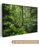 Canvas schilderij 150x100 cm - Wanddecoratie Bos - Boom - Groen - Muurdecoratie woonkamer - Slaapkamer decoratie - Kamer accessoires - Schilderijen op canvas