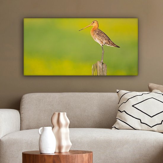 Toile - Tableau - Vogel - Animaux - Barge à queue noire - Perche - Vert - Peintures sur toile - Photo sur toile - 80x40 cm - Décoration murale - Salon