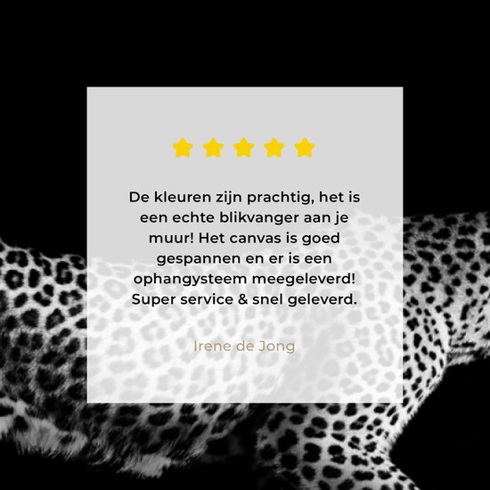 Peinture sur toile - Animaux sauvages - Léopard - Herbe - Zwart - Wit - Canvasdoek - 40x20 cm - Photo sur toile - Décoration murale