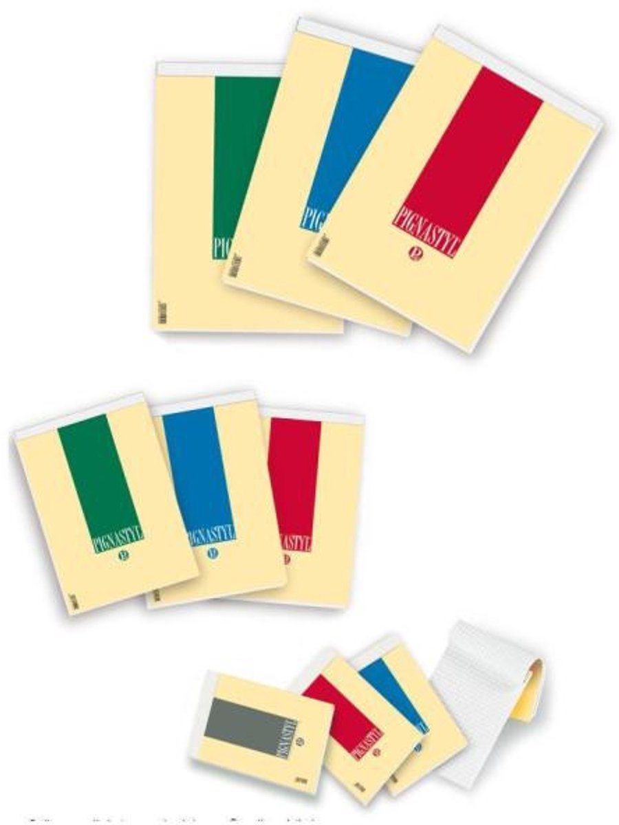 Pigna Pignastyl schrijfblok & schrift Meerkleurig