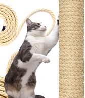 Grijze en witte kat krabt aan een sisalpaal, met sisaltouw ernaast.