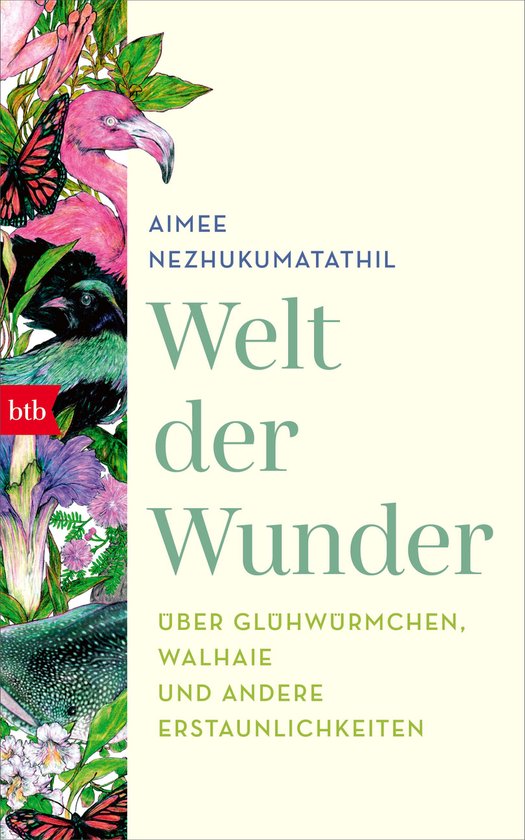 Welt der Wunder - cover