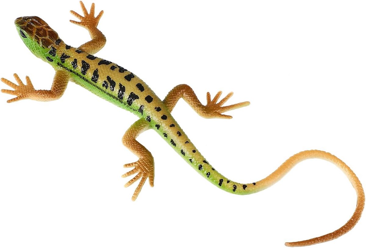 Crrynuo 1 Stuks - Realistische Hagedis Model - Kleurrijke PVC Reptielen Speelgoed - Educatief Cognitief Speelgoed Voor Kinderen - ZQ1511