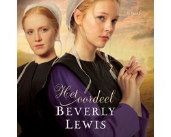 Omslag van Het oordeel