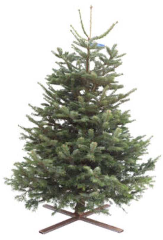 Kerstboom 80–100 cm - Met Houten Standaard