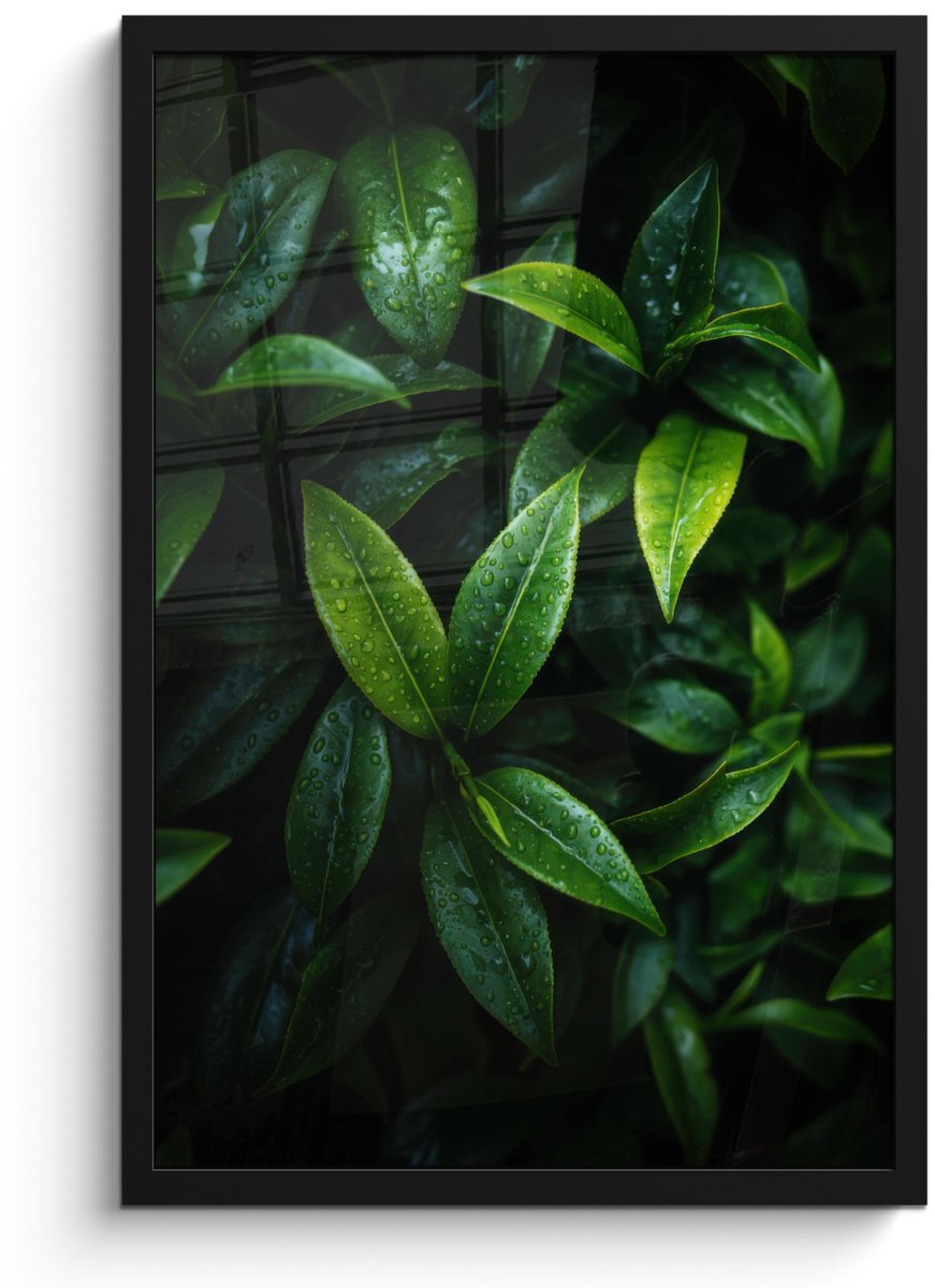 FrameYourWall Poster in lijst - Fotolijst 40x60 cm - Posters - Bladeren - Regendruppels - Licht - Groen - Posterlijst zwart - Decoratie - Wanddecoratie woonkamer - Muurdecoratie slaapkamer