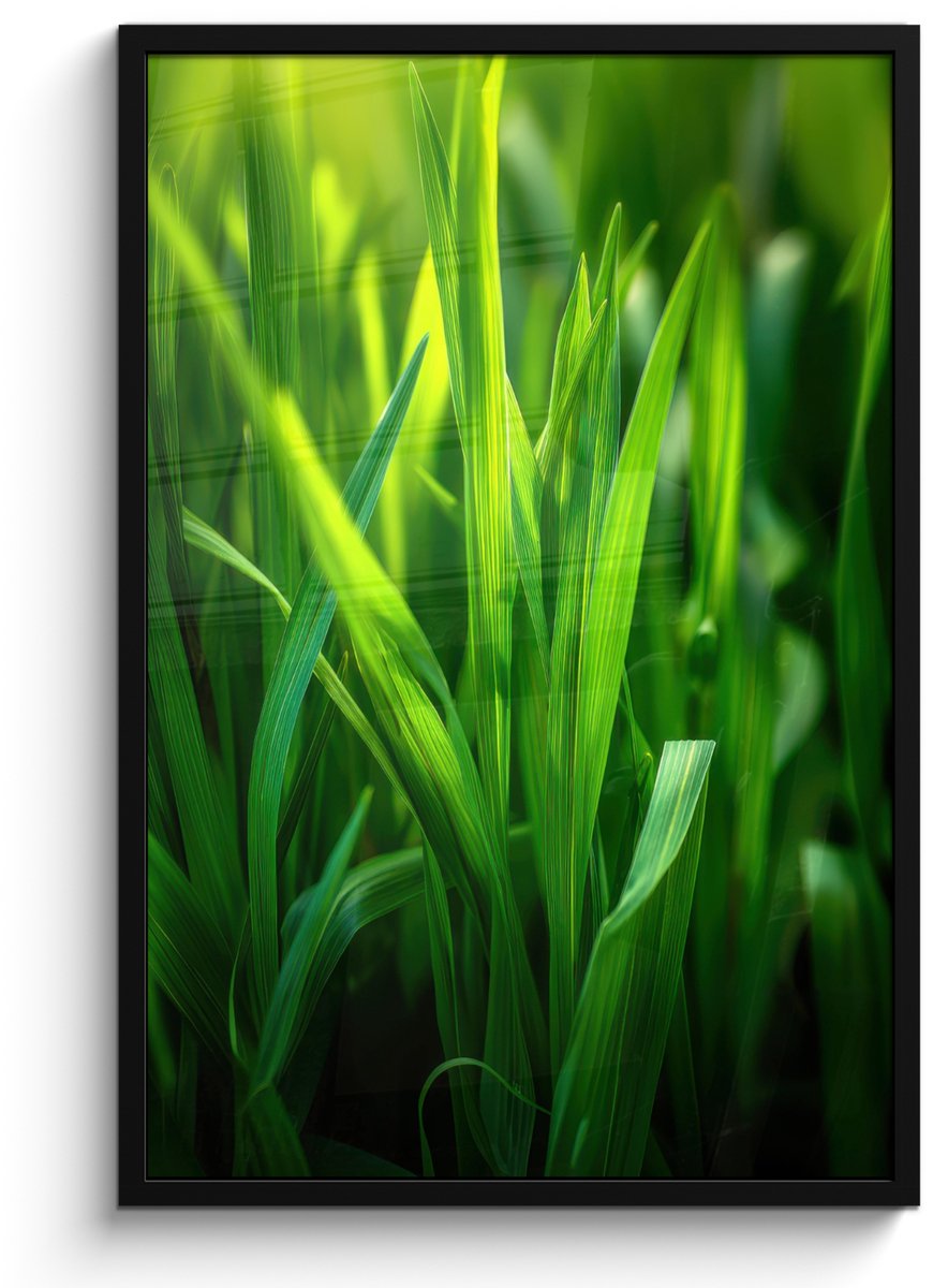 FrameYourWall Poster in lijst - Fotolijst 60x90 cm - Posters - Grassprieten - Lichtinval - Groen - Posterlijst zwart - Decoratie - Wanddecoratie woonkamer - Muurdecoratie slaapkamer