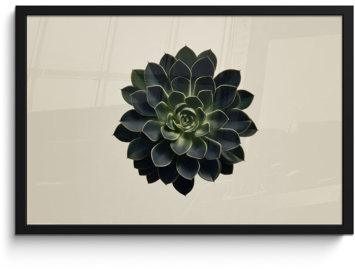 FrameYourWall Poster in lijst - Fotolijst 60x40 cm - Posters - Rozet - Cirkelvormig - Donkergroen - Posterlijst zwart - Decoratie - Wanddecoratie woonkamer - Muurdecoratie slaapkamer