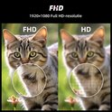 Twee katten met groene ogen. Linker kat is scherp, rechter kat is wazig. "FHD" en "HD" staan op de afbeelding.