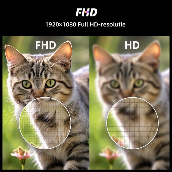 Twee katten met groene ogen. Linker kat is scherp, rechter kat is wazig. "FHD" en "HD" staan op de afbeelding.