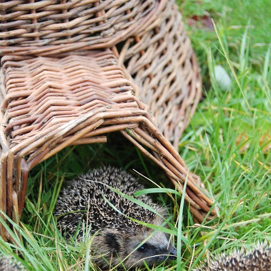 Esschert Design - Hedgehog Basket Willow Branches - Marron - 53 x 41 x 21 cm