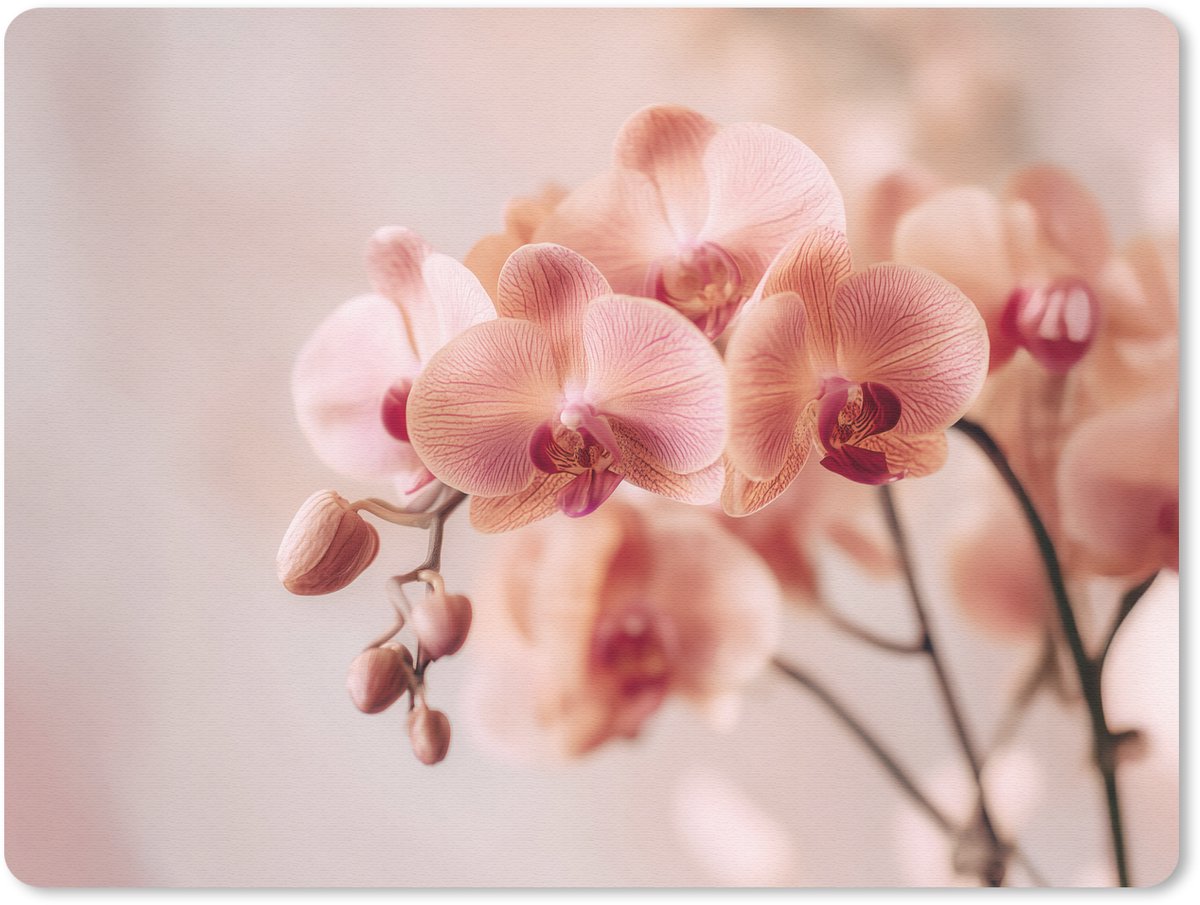 Muismat 23x19 cm - Mousepad Orchidee - Bloemen - Roze - Bloemblaadjes - Muismatten