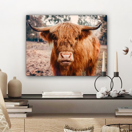 Tableau sur toile - Highlander - Animaux - Vache - Peintures salon - Décoration chambre - Toile toile - 40x30 cm