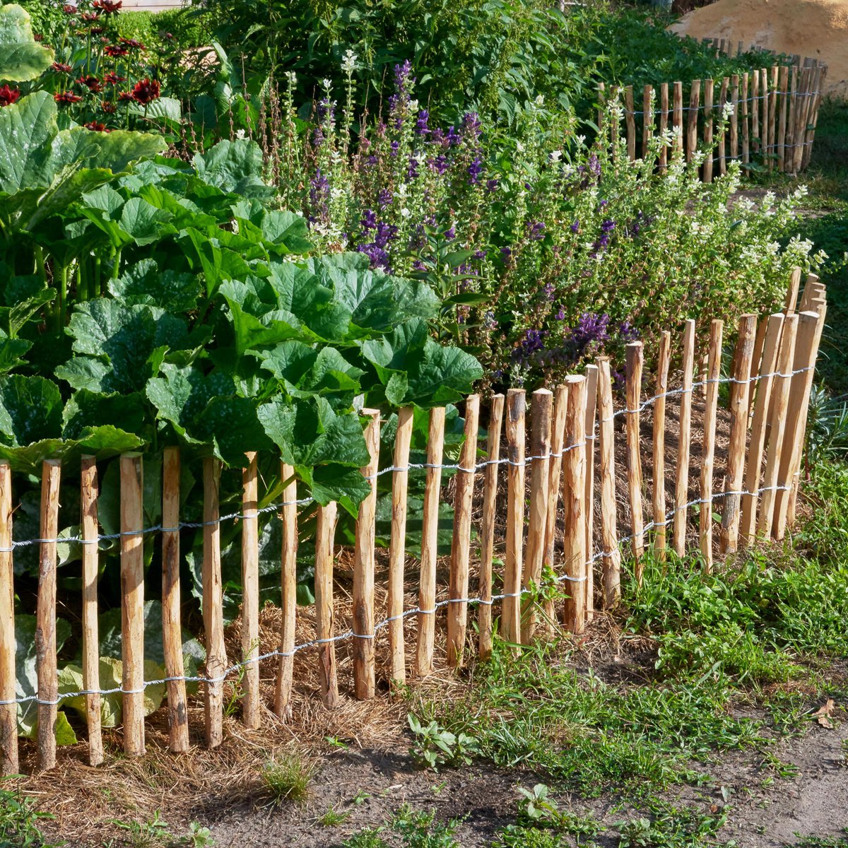 Engels schapenhek 70cm hoog - Latafstand 4/5cm - 5 meter lang