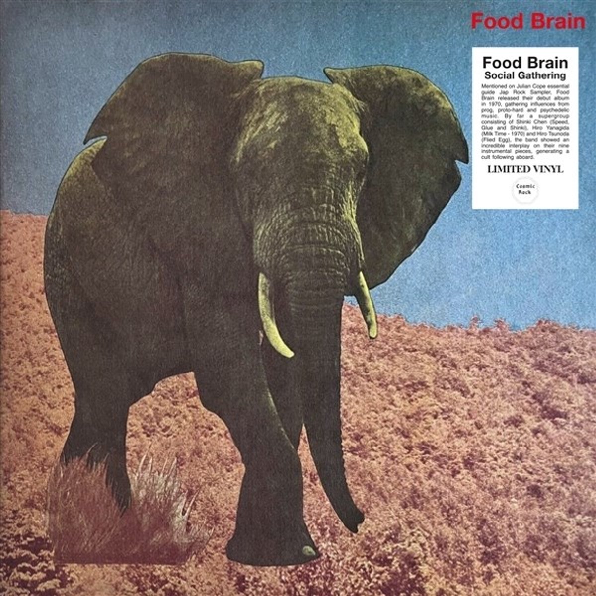 Food Brain - Social Gathering (LP)
