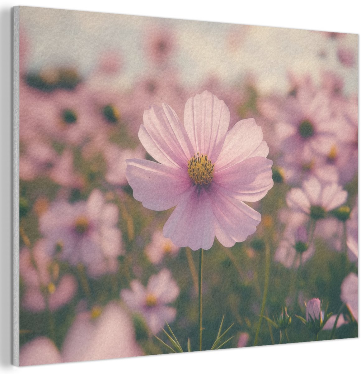 Akoestisch wandpaneel 100x70 cm - Vilt schilderij Bloemen - Paars - Wazig - Akoestische panelen - Geluidsdempende wanddecoratie - Geluidsisolatie woonkamer - Muurdecoratie geluidspanelen