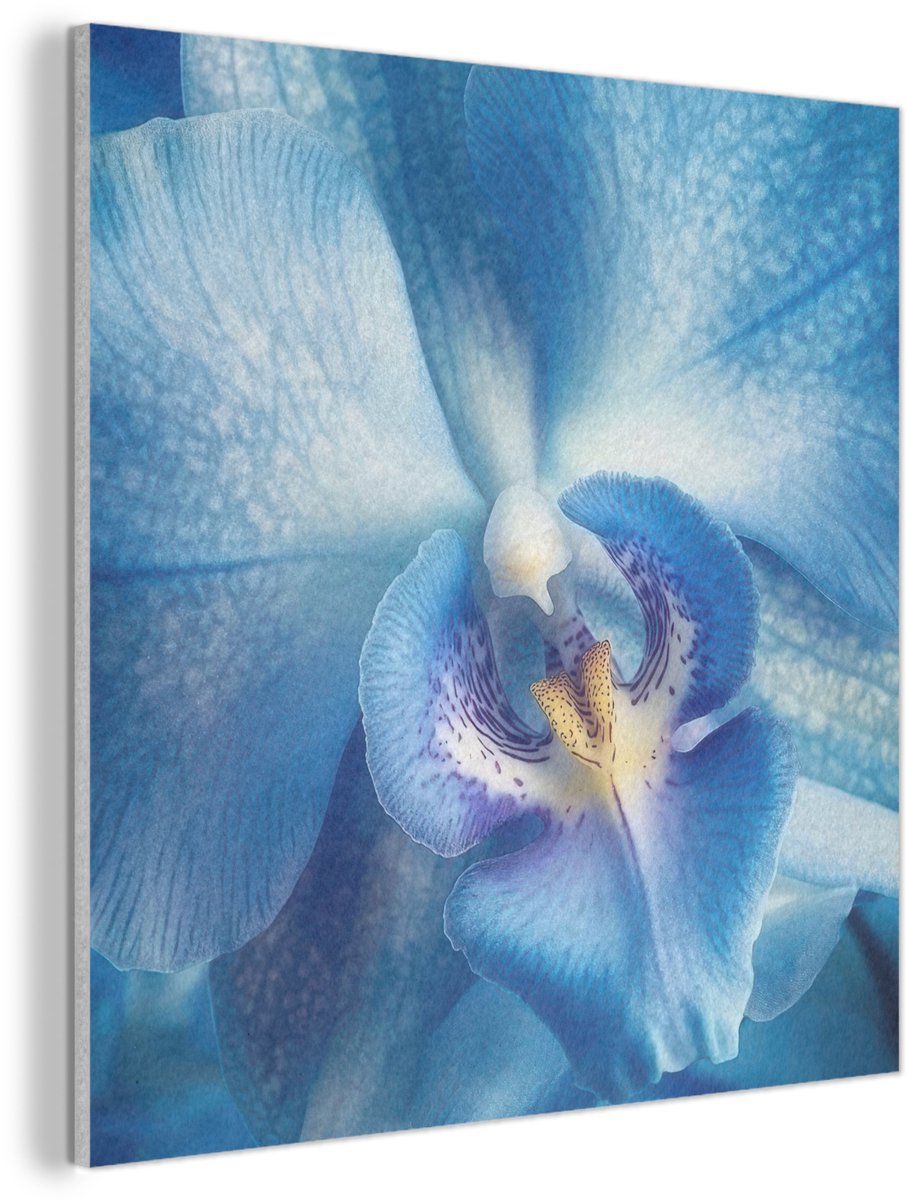 Akoestisch wandpaneel 40x40 cm - Vilt schilderij Blauw - Orchidee - Elegeant - Akoestische panelen - Geluidsdempende wanddecoratie - Geluidsisolatie woonkamer - Muurdecoratie geluidspanelen