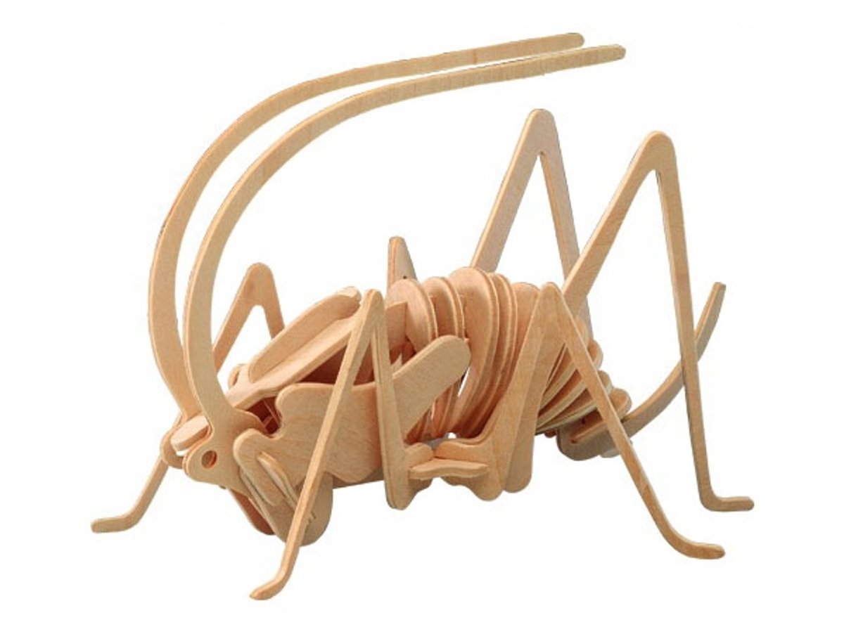 Houten 3D Puzzel "Krekel" - Leerzaam Knutselmodel