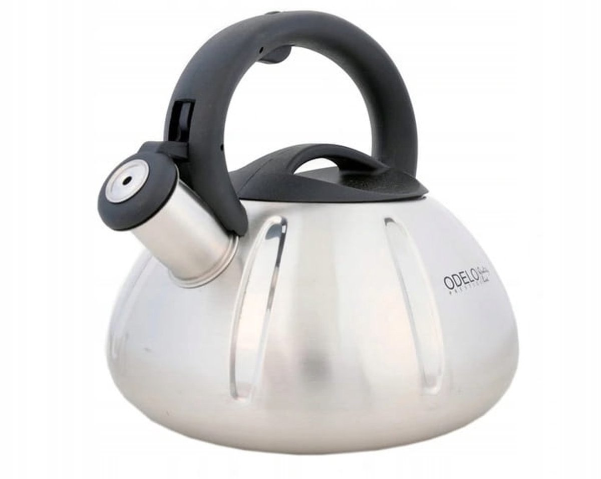 Odelo CHICO RVS Waterkoker met Fluitje 3L Zilver