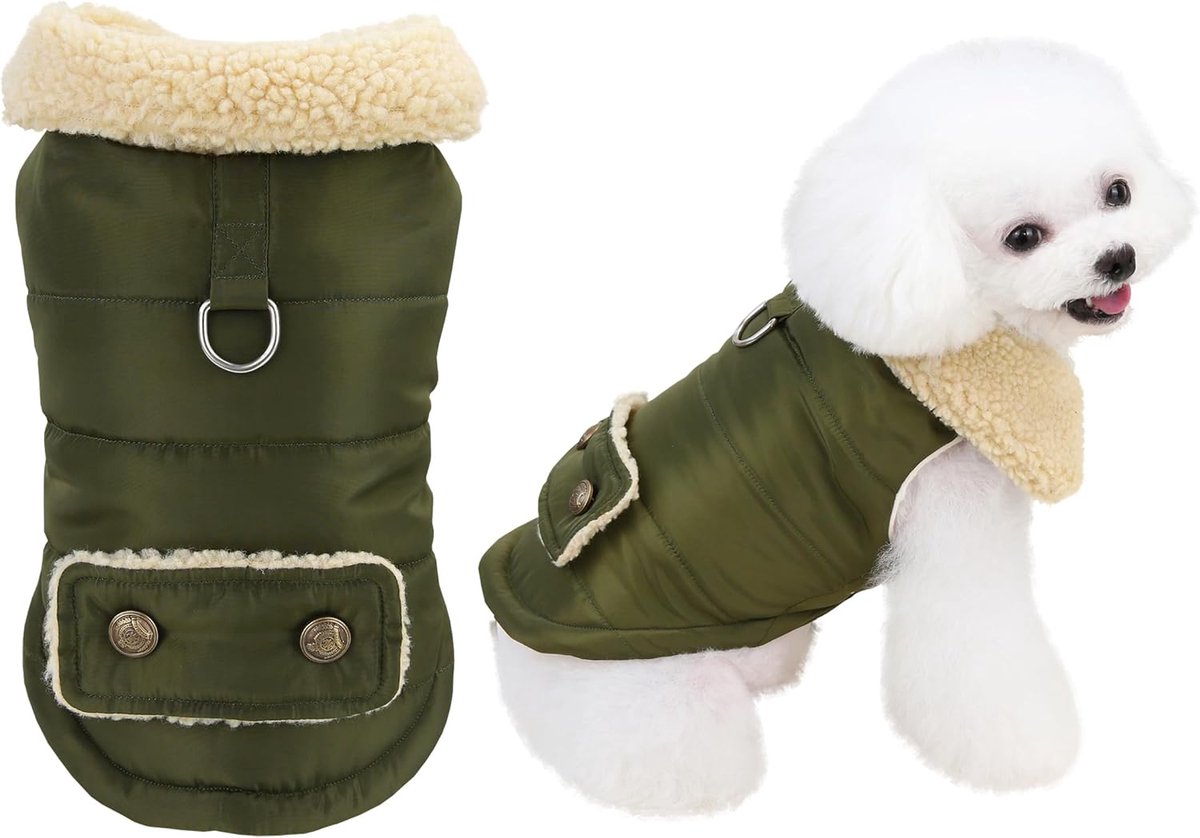 Hondenjas - Koud weer jas- Hond winterjas- Warme Hondenjas - Hond Winddichte jas - Hond Fluwelen jas - Winter dikke kleding - Bontkraag - Perfect voor honden- Middelgrote honden - S maat - Groen