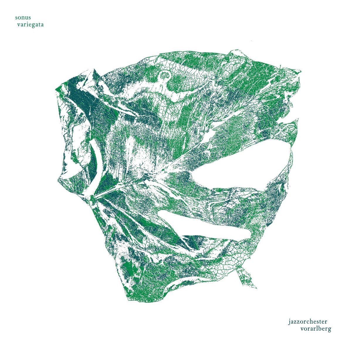 Jazzorchester Vorarlberg - Sonus Variegata (LP)