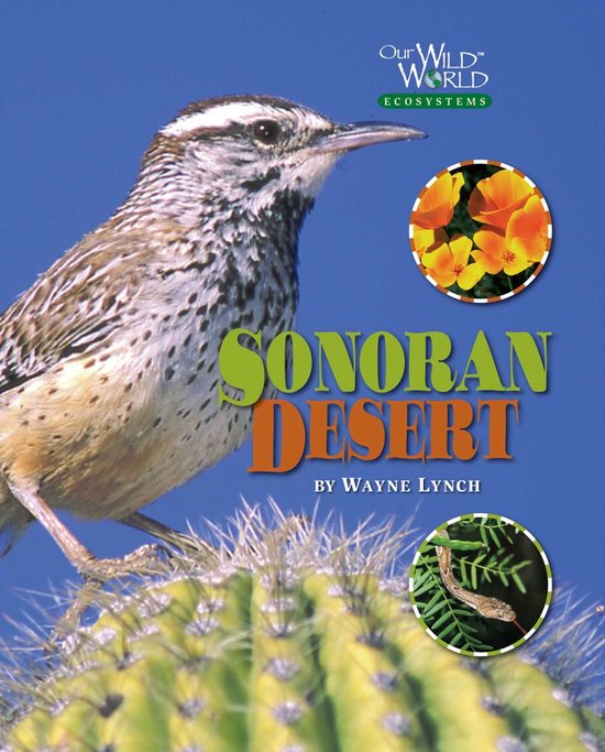 The Sonoran Desert - cover