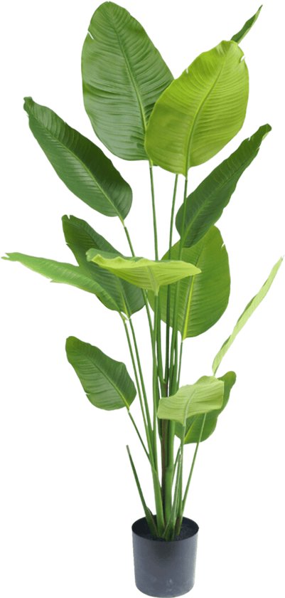 Greenmoods Plantes artificielles - Plantes artificielles - Plante Artificielle Strelitzia - Soie - 180 cm