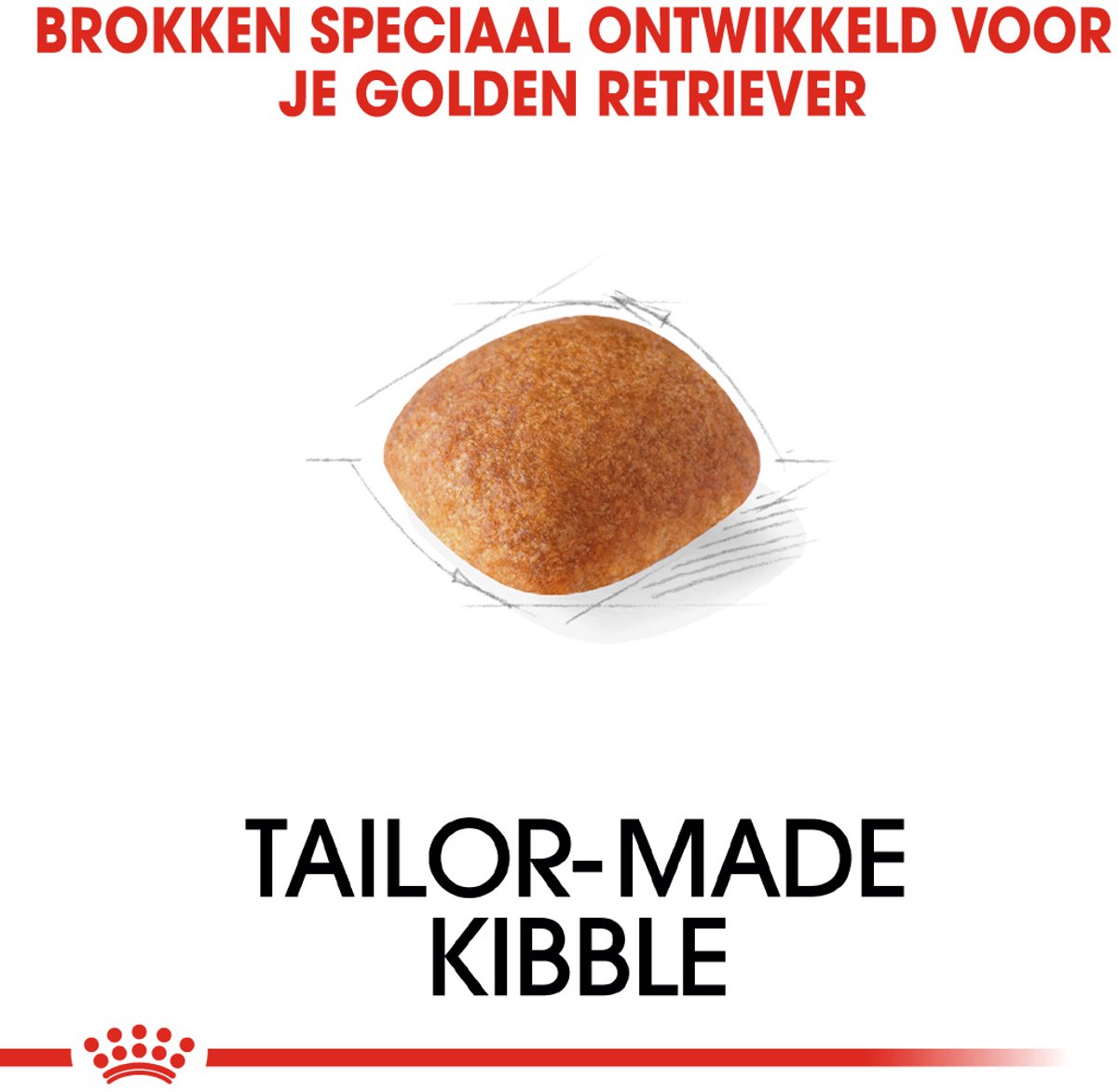 Royal Canin Golden Retriever - Adult thumbnail 3