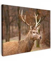 Tuinschilderij voor buiten 70x50 cm - Tuindecoratie Hert - Dier - Bos - Herfst - Hertenkop - Bruin - Natuur - Tuinposter op canvas - Tuin muurdecoratie - Buitenschilderij decoratie - Schutting wanddecoratie - Buitencanvas