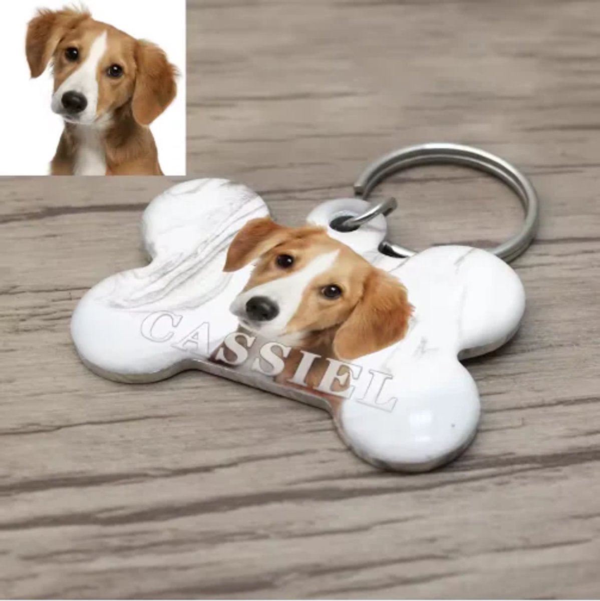 Hondenpenning Huisdierpenning Botje - Luxe Hondenpenning met eigen foto - Dogtag - Huisdierpenning - Petshop Seven®